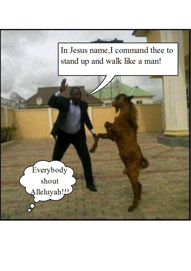 Goat Ready To Fight Boko Haram.jpg